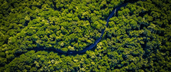 Sistema de Gestión de Calidad